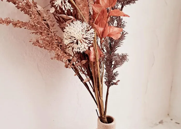 Beautiful View House, Old Town *